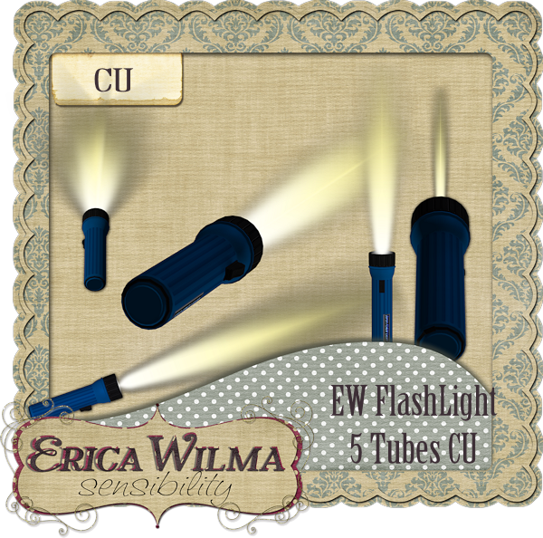 EW Flashlight CU - Click Image to Close